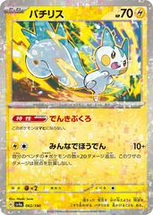 Pachirisu [Reverse Holo] #62 Pokemon Japanese Shiny Treasure ex Prices