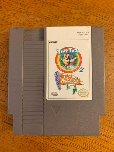 Tiny Toon Adventures 2 Trouble in Wackyland photo