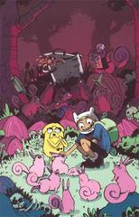 Adventure Time [Virgin] Comic Books Adventure Time Prices