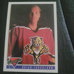 Brian Skrudland Hockey Cards 1993 Topps Premier Prices