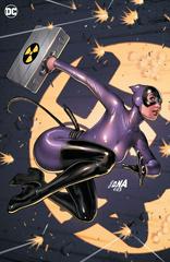 Catwoman [Nakayama Virgin] #61 (2024) Comic Books Catwoman Prices