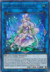 Traptrix Cularia [1st Edition] YuGiOh Lightning Overdrive Prices