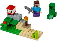 LEGO Set | Steve and Creeper Set LEGO Minecraft
