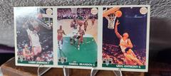 Larry Johnson, Terrell Brandon, Greg Anthony Basketball Cards 1991 Front Row Promotional Panels Prices