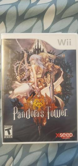 Pandora's Tower photo