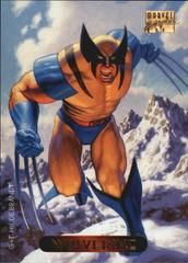 Wolverine Marvel 1994 Masterpieces Prices