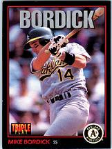 Mike Bordick #45 Baseball Cards 1993 Panini Donruss Triple Play Prices