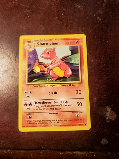 Charmeleon #24 photo