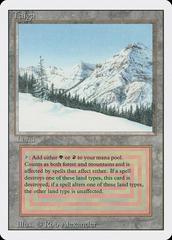 Taiga Prices | Magic Revised | Magic Cards