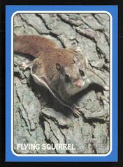 Flying Squirrel [Blue] #75Z-10 Baseball Cards 2024 Topps Heritage Zoo’s Who Stick-On Prices