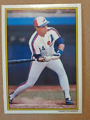 Andres Galarraga #44 Baseball Cards 1989 Topps All Star Glossy Set of 60 Prices