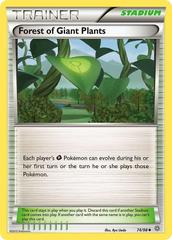 Forest of Giant Plants Pokemon Ancient Origins Prices