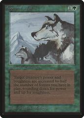 Aspect of Wolf Magic Beta Prices