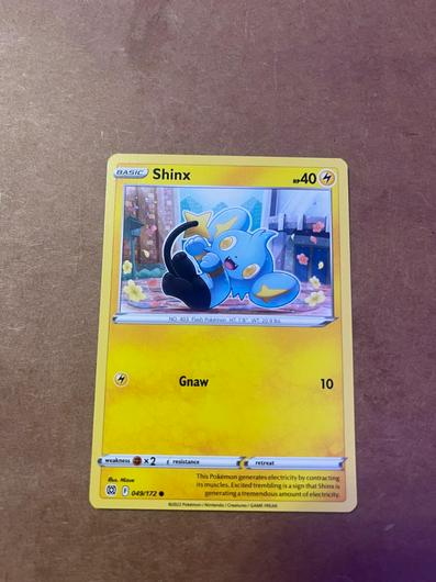 Shinx #49 photo