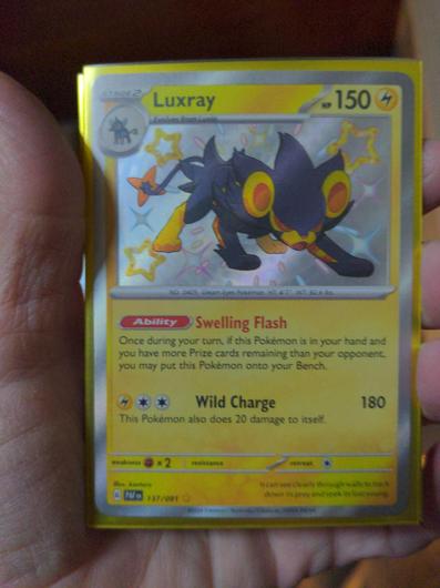 Luxray #137 photo