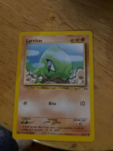 Larvitar #57 photo