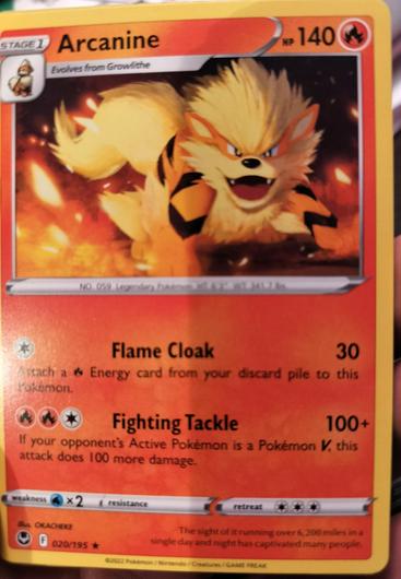 Arcanine #20 photo