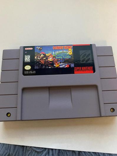 Donkey Kong Country 3 photo