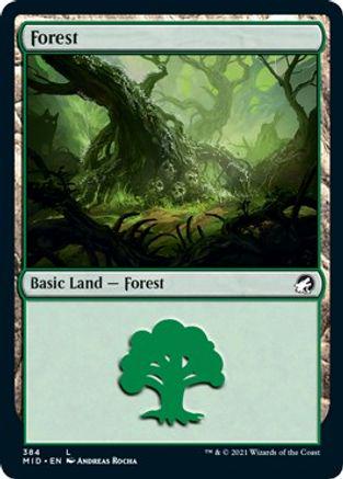 Forest #384 Magic Innistrad: Midnight Hunt