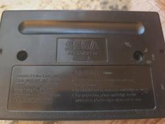 Cartridge (Reverse) | World Heroes Sega Genesis
