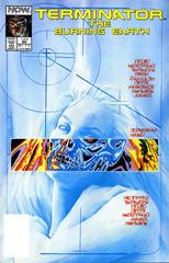 Terminator: The Burning Earth #1 (1990) Comic Books Terminator: The Burning Earth Prices