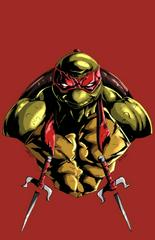 Teenage Mutant Ninja Turtles [Power Portrait Virgin] #1 (2024) Comic Books Teenage Mutant Ninja Turtles Prices