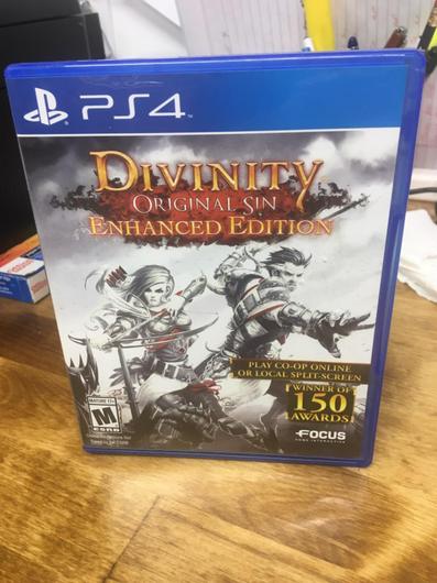 Divinity: Original Sin [Enhanced Edition] photo