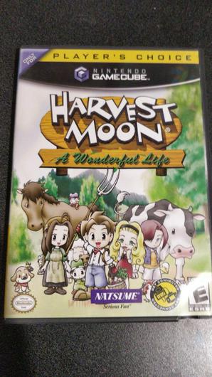 Harvest Moon A Wonderful Life photo