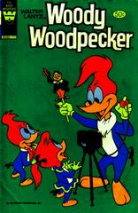 Walter Lantz Woody Woodpecker #195 (1981) Comic Books Walter Lantz Woody Woodpecker Prices