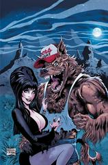 Elvira in Monsterland [Acosta Virgin] #3 (2023) Comic Books Elvira in Monsterland Prices