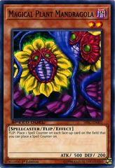 Magical Plant Mandragola YuGiOh Speed Duel: Scars of Battle Prices