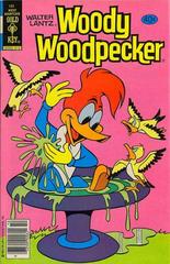 Walter Lantz Woody Woodpecker #183 (1979) Comic Books Walter Lantz Woody Woodpecker Prices