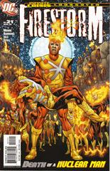 Firestorm #21 (2006) Comic Books Firestorm Prices