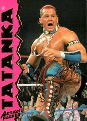 Tatanka #15 Wrestling Cards 1995 Action Packed WWF Prices