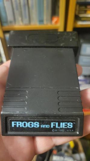 Frogs and Flies photo