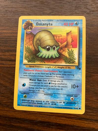 Omanyte #52 photo