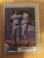 Graig Nettles #132 Baseball Cards 1990 Pacific Senior League Prices