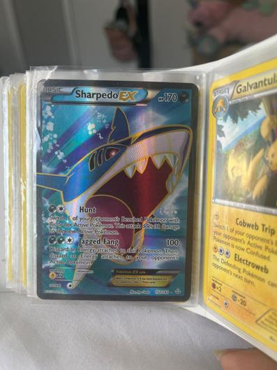 Sharpedo EX #152 photo