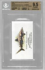 Oceanic Whitetip Shark Baseball Cards 2008 Topps Allen & Ginter World's Deadliest Sharks Mini Prices