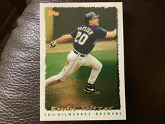 Kevin Seitzer #166 Baseball Cards 1995 Topps Cyberstats Prices