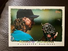 Randy Johnson #116 Baseball Cards 1995 Topps Cyberstats Prices