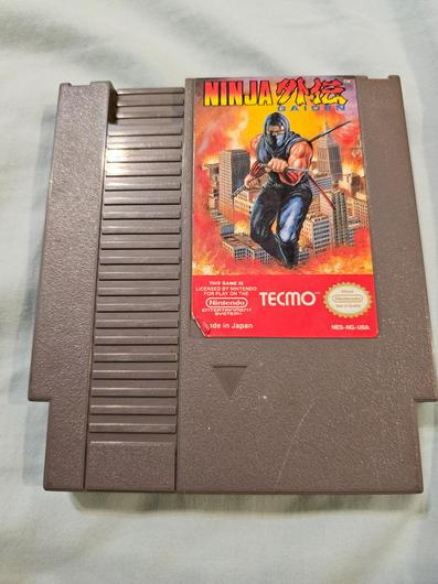 Ninja Gaiden photo