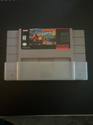 Donkey Kong Country 3 photo