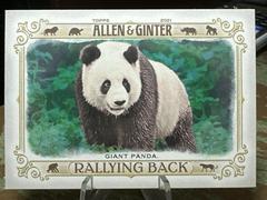 Giant Panda Baseball Cards 2021 Topps Allen & Ginter Rallying Back Prices
