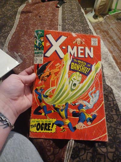 The X-Men #28 (1967) photo