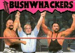 The Bushwhackers #20 Wrestling Cards 1995 Action Packed WWF Prices