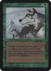 Aspect of Wolf Magic Alpha Prices