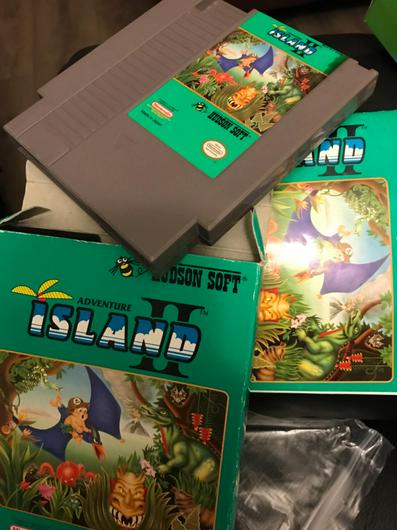 Adventure Island II photo