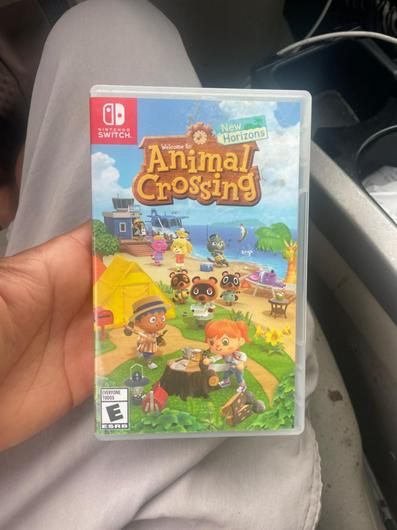 Animal Crossing: New Horizons photo