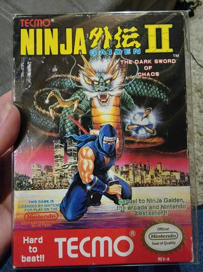 Ninja Gaiden II The Dark Sword of Chaos photo
